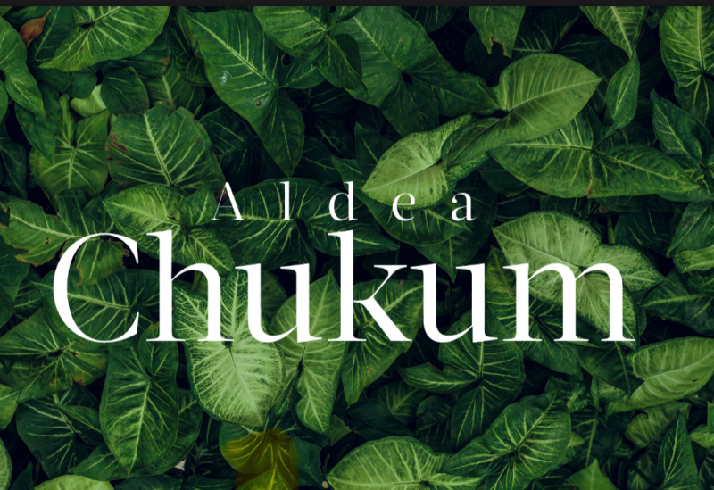 Residential land lots in Presale in Tulum 20% downpayment + 36 payments 0% interest