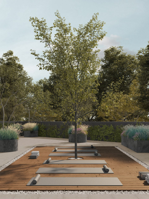 Coordenada Central - Zapopan, Jalisco